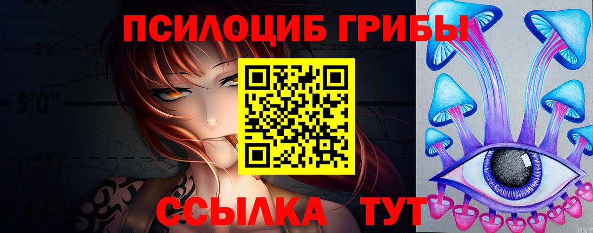 Галлюциногенные грибы Psilocybe  Вход с VPN  Феодосия 